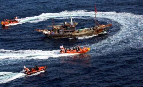 渔船黑暗爆料视频大全集,渔船爆料视频大全集深度解析  第1张