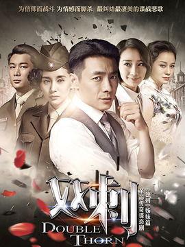 在线观看电视剧双刺,谍影重重，爱恨交织的谍战传奇