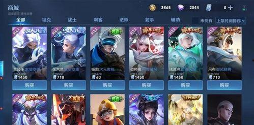 王昭新皮肤爆料视频播放,视觉盛宴，神秘英雄即将亮相  第2张