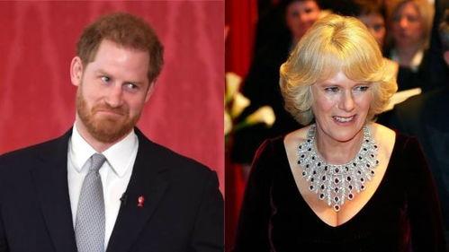 王室爆料卡米拉视频,卡米拉私密视频曝光，真相令人震惊  第1张